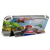 Skin Super Mario Bros Kart